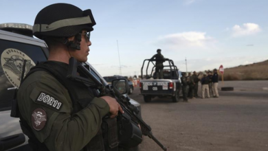 MEXICO Voice Of Freedom