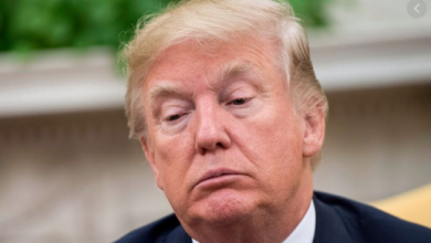 trump foundation Voice Of Freedom