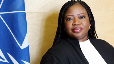 LAW Voice Of Freedom