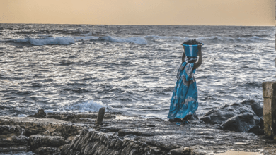 UN NEWS Voice Of Freedom