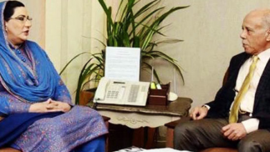 amb Voice Of Freedom