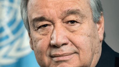 anti Voice Of Freedom