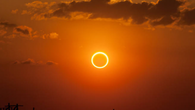 solar1 Voice Of Freedom