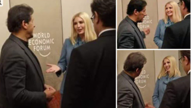 IVANKA IMRAN Voice Of Freedom