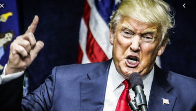 angry Voice Of Freedom