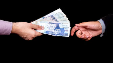 money Voice Of Freedom