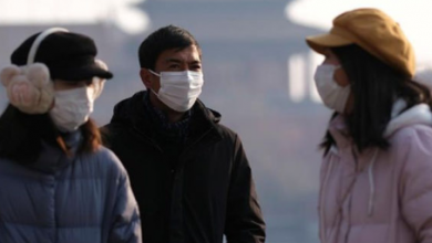 viruss Voice Of Freedom