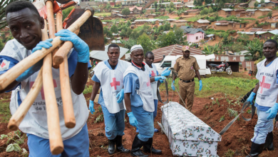 african Voice Of Freedom