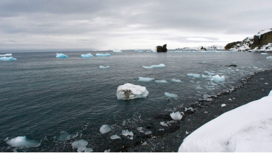 antarctic Voice Of Freedom