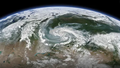 cli Voice Of Freedom