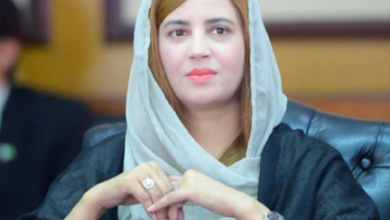 zartaj Voice Of Freedom