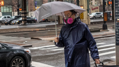 PANIC Voice Of Freedom