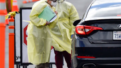 PLAY Voice Of Freedom