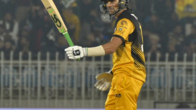 malik Voice Of Freedom