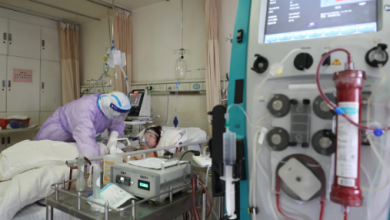 sym Voice Of Freedom