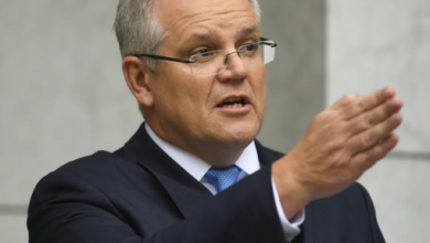 MORRISON Voice Of Freedom