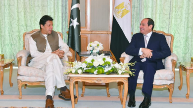 Sisi backs Imran Khan's debt relief initiative for developing countries