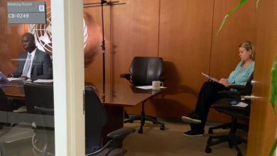 town Voice Of Freedom