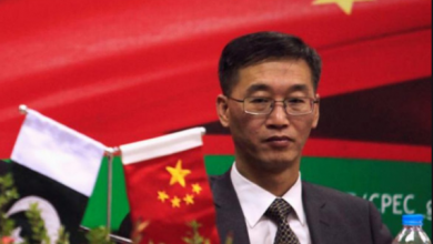 Chinese Ambassador Yao Jing calls on Pakistan's Federal Minister for IT Amin Ul Haque