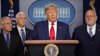 White House coronavirus task force members are currently not expected at Trump's COVID-19 briefing