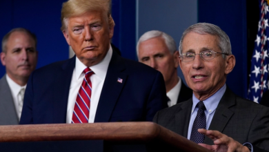 COVID-19: Dr Fauci calls the White House attack on him as 'bizarre'