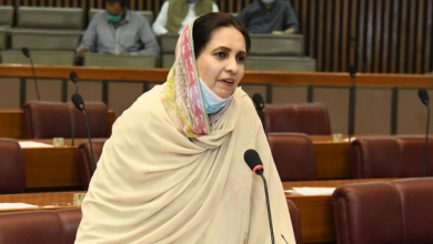 Pharmaceutical companies agree not to increase prices of medicines, says Nausheen Hamid